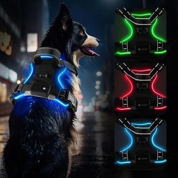 Limited time deal-50% Blue (LED) Light Dog Harness | Dog Harness Medium Sized Dog |