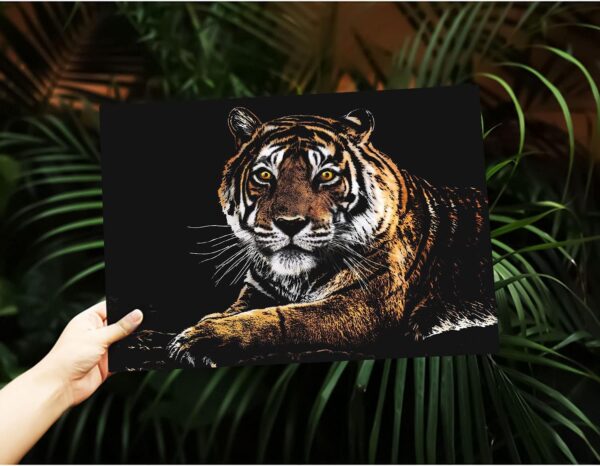 Limited time deal-50% MIASTAR 2 Pack Scratch Art Animal Rainbow Painting Paper, Creativ - Image 3