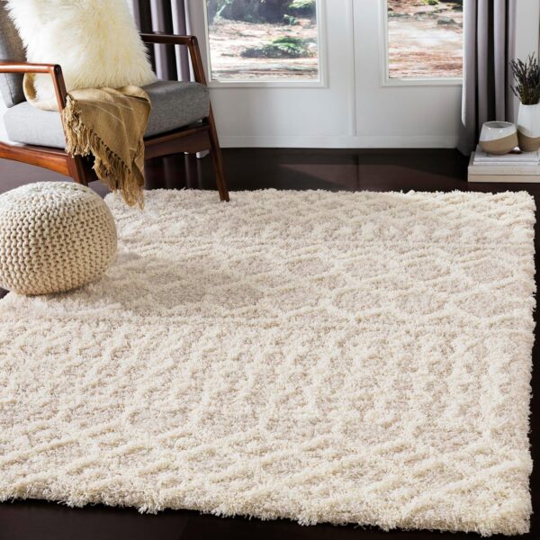 Limited time deal-58% off Livabliss Hapsburg Moroccan Shag Area Rug, 5'3" x 7'3", Beige
